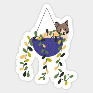 Cat on hanging basket Sticker